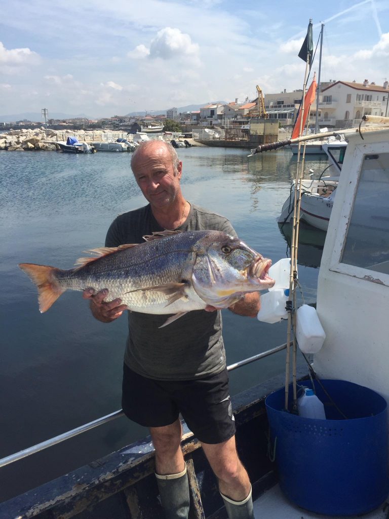 Le denti, un des poissons les plus prisés à Marseille, pêché le jour même par Jean, patron pêcheur -JJ Location Bateaux Marseille 